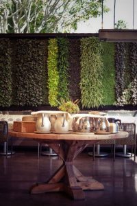 Living walls and vertical garden designs from Seasons Landscaping.