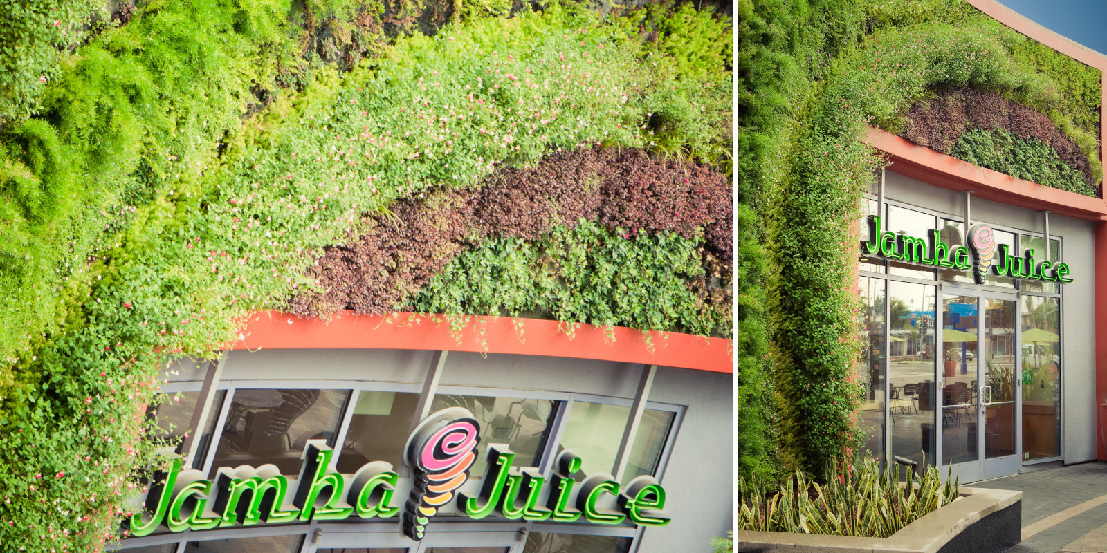 Jamba Juice Seasons Landscaping