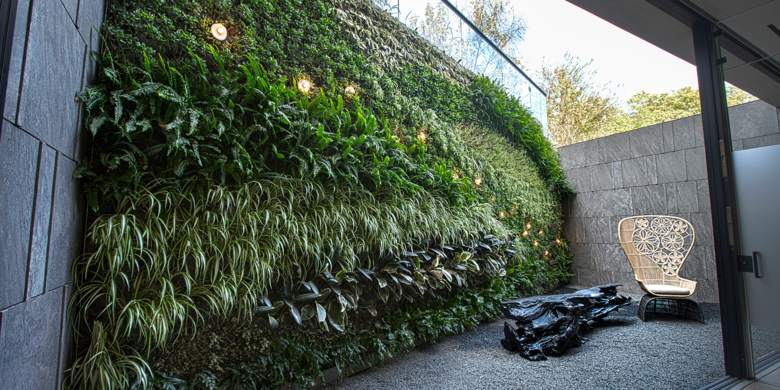 Live wall in beverley hills by Seasons Landscaping.