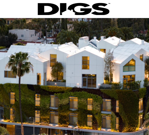 Digs publication