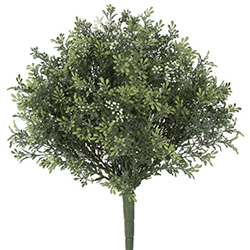 plant2
